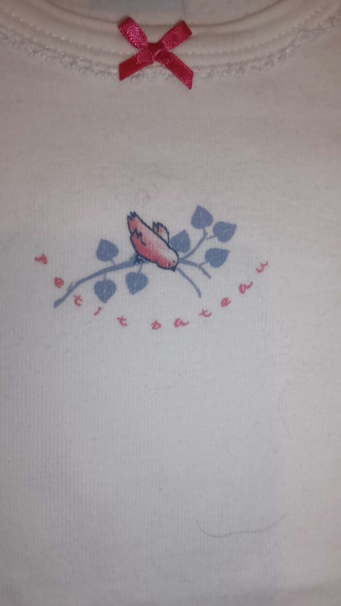 Tee shirt petit bateau 2ans - photo numéro 3