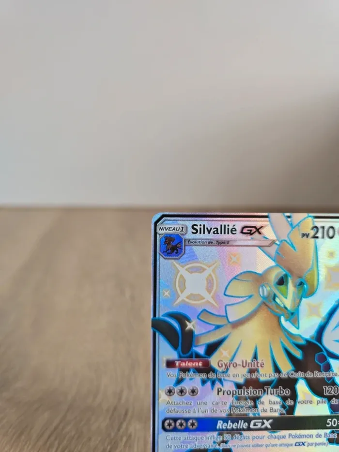 Silvallié GX SV79/SV94 - photo numéro 2