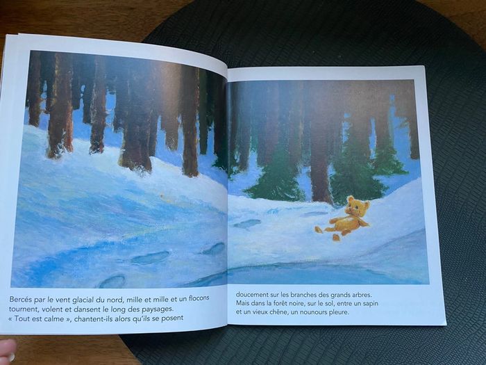 Le nounours de noël - photo numéro 2