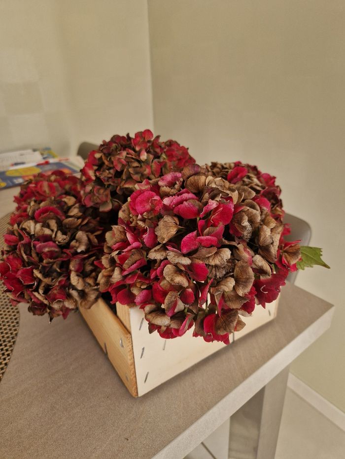 Cagette hortensias séchés - photo numéro 2