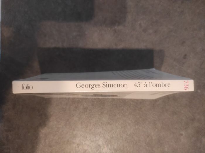 45° à l'ombre Georges Simenon Folio 1997 - photo numéro 2