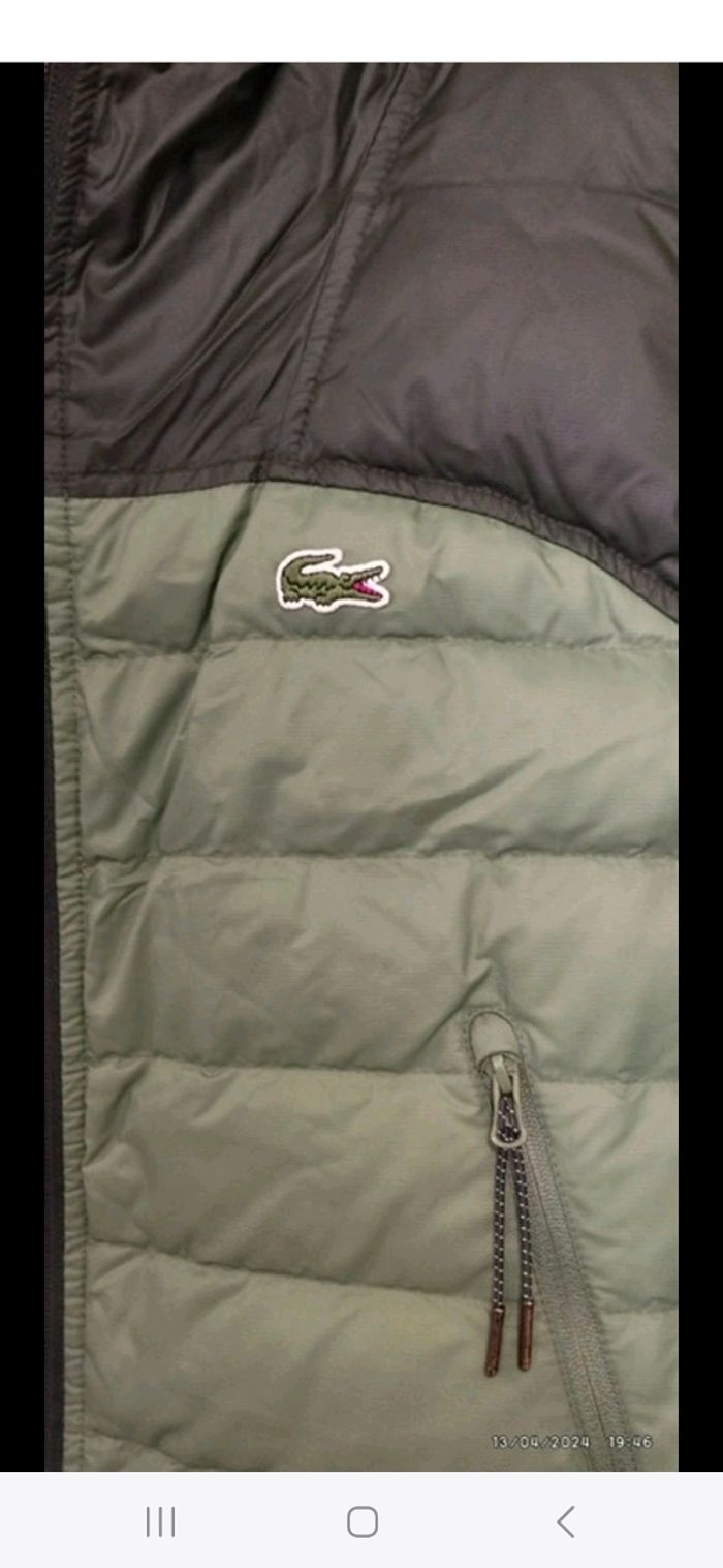 Veste sans manche lacoste valeur 184€ - photo numéro 2
