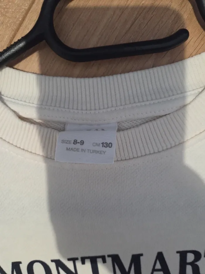 Sweat Zara taille 8.9ans - photo numéro 2