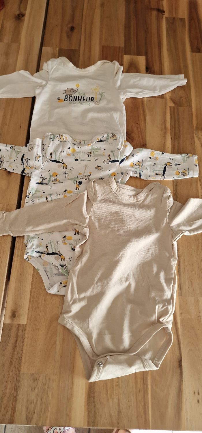 Bodys bébé garçon