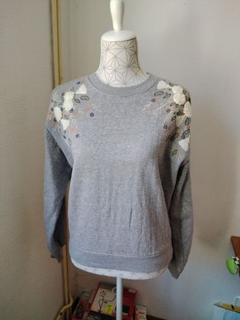 Pull (bac rose)