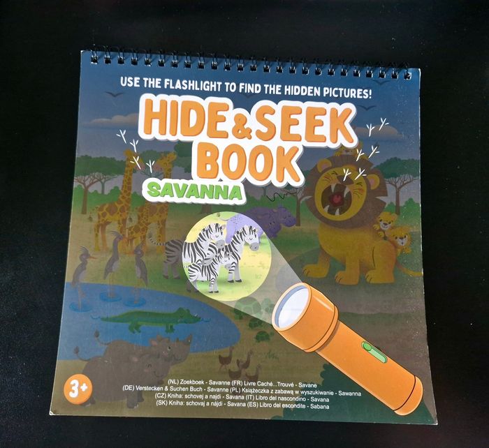 Livre - Hide & Seek book