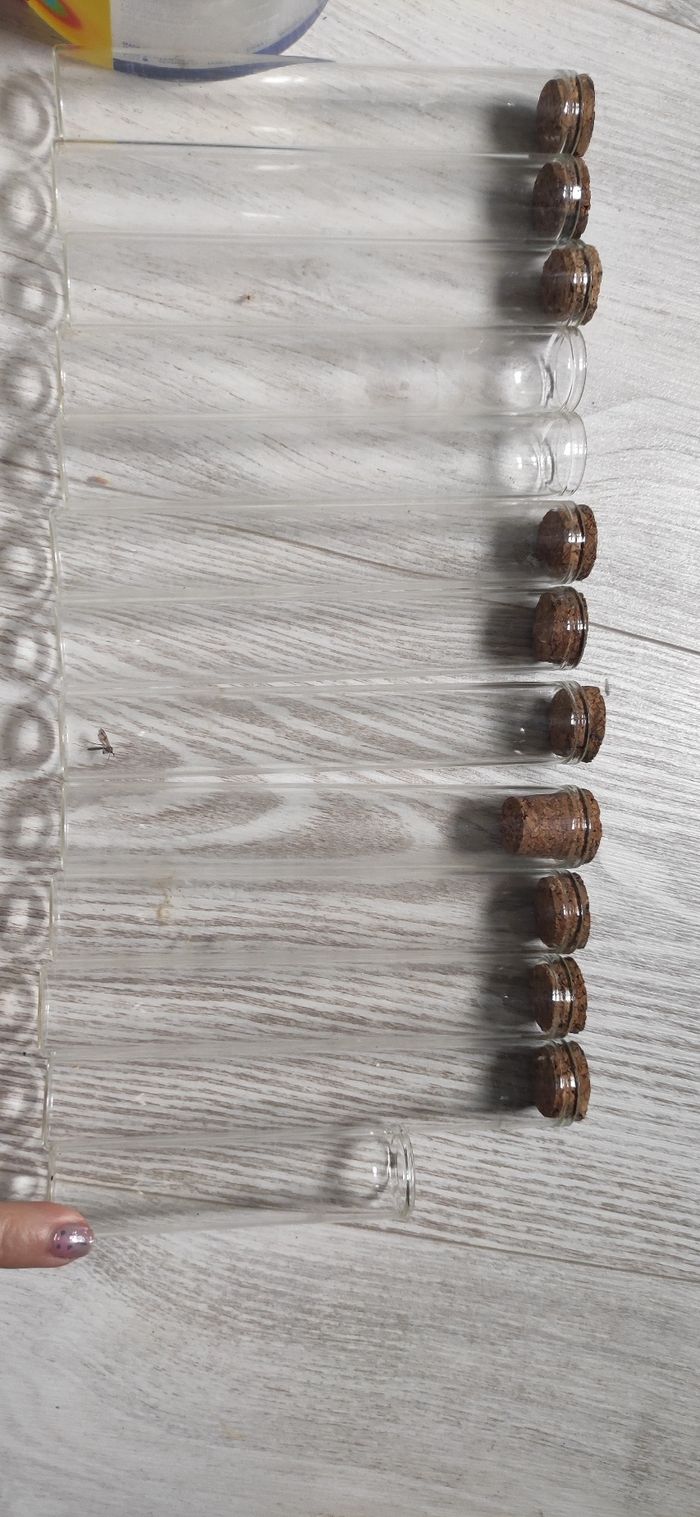 Lot de 13 tubes à essais