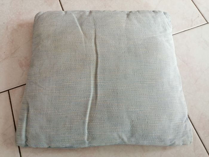 lot de 2 coussins blanc et bleu rayé déhoussables Habitat