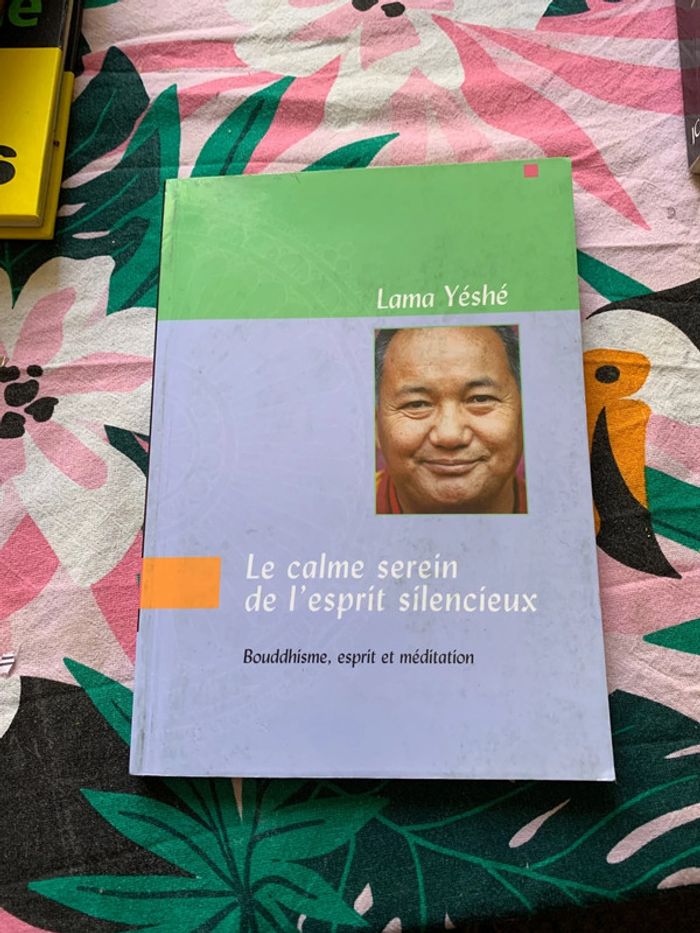 Le calme serein de l esprit silencieux