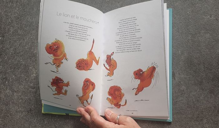 Fables de Jean de la Fontaine - photo numéro 5