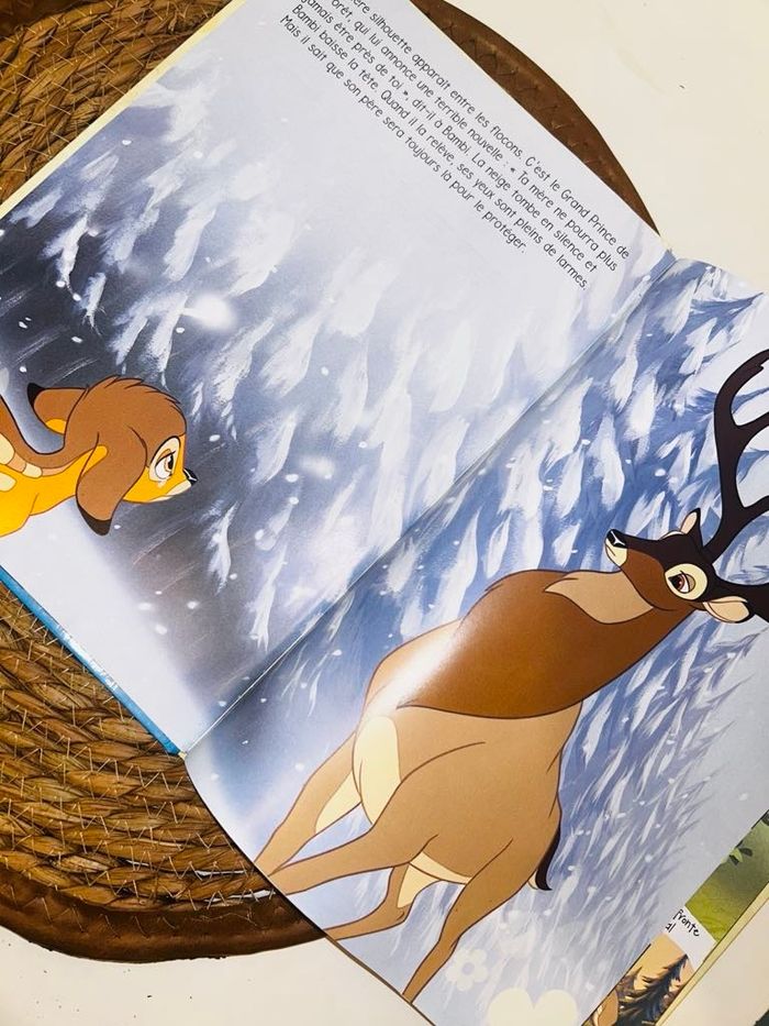 Livre disney - photo numéro 5