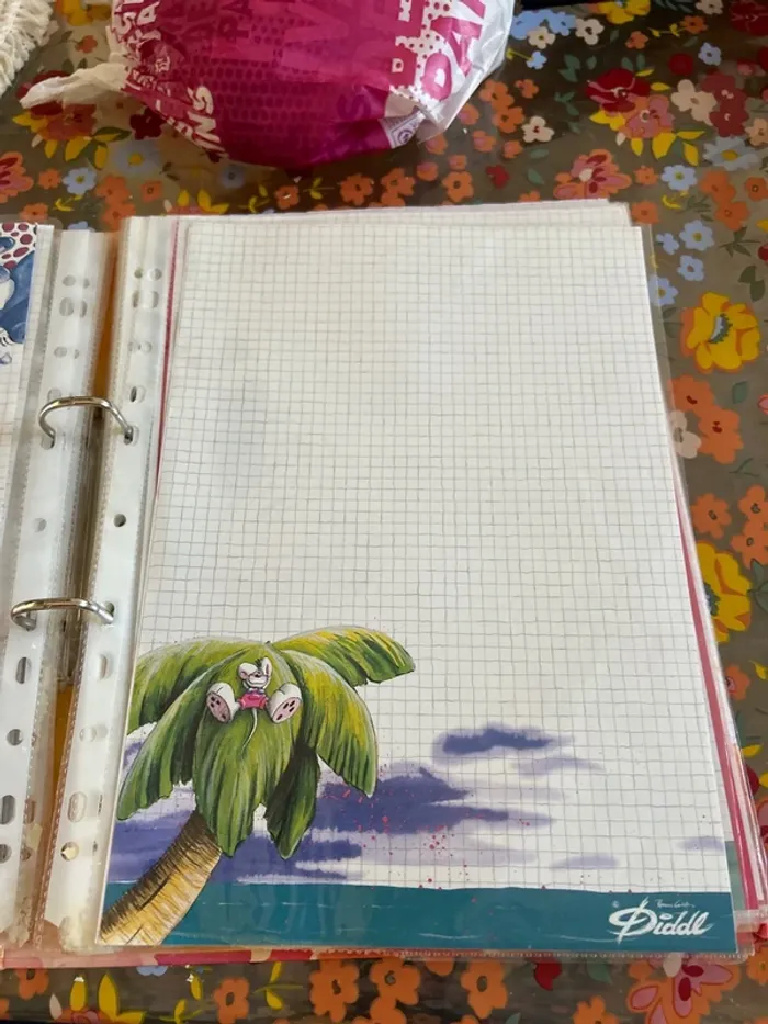 Feuille diddl - photo numéro 10