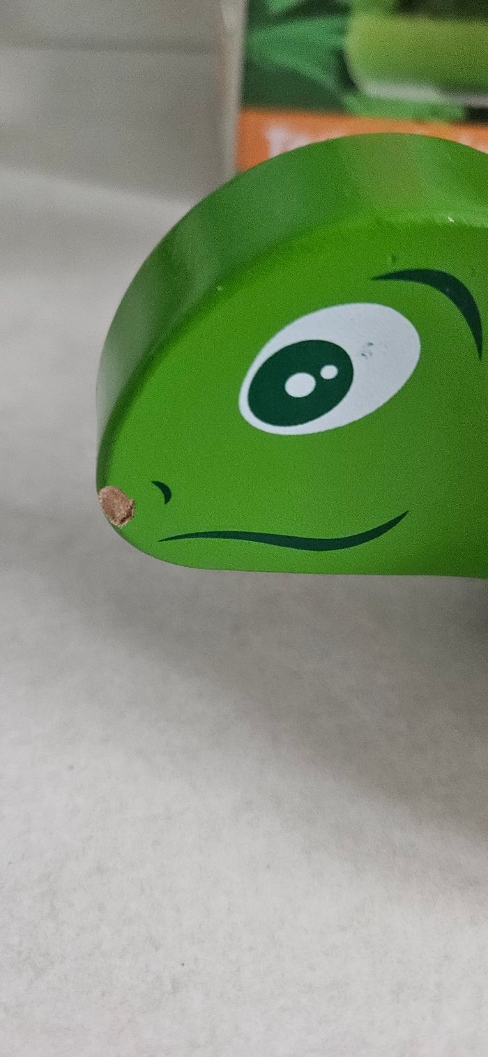 Tortue a tirer - photo numéro 2