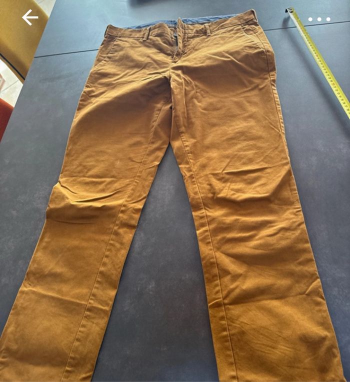 Chino camel