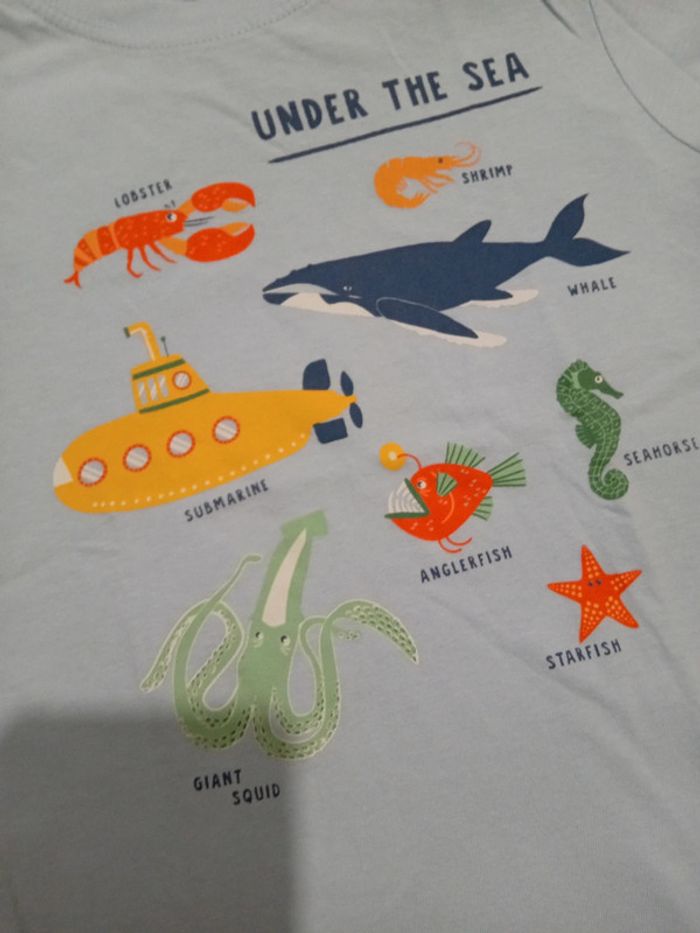 Tee-shirt 5 ans zeeman - photo numéro 2