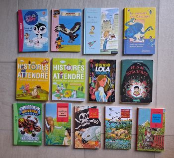 Lot 13 livres enfant 
