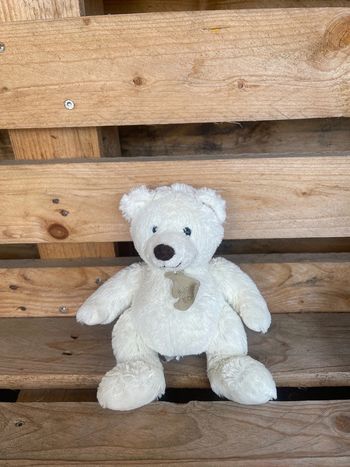 Petit Ours, histoire d’ours