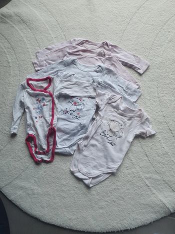 Lot de bodies