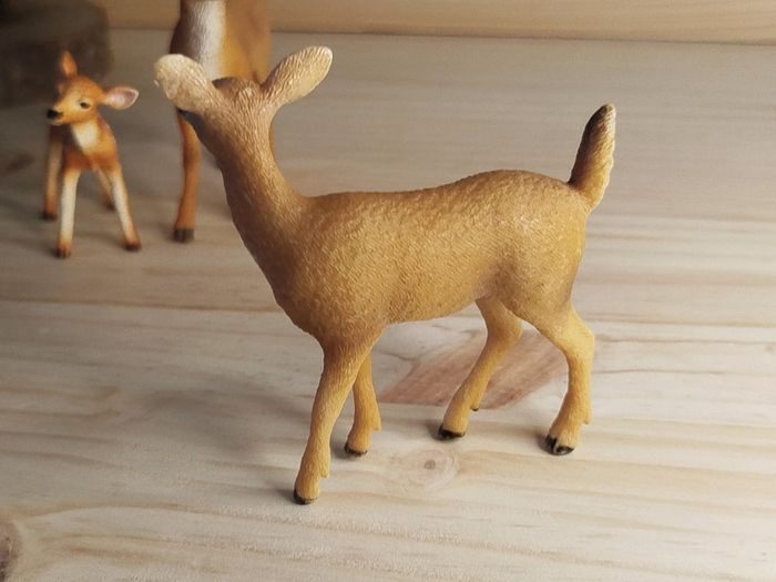 Schleich famille corvidés Figurines animal de la forêt - photo numéro 5