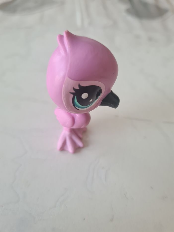 Petshop - photo numéro 2