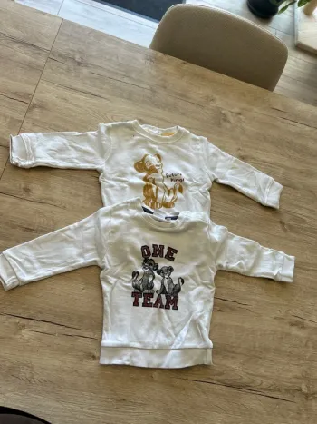 Lot de 2 pull le roi lion