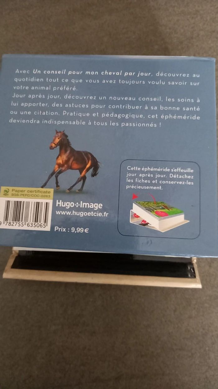 Un conseil par jour cheval - photo numéro 2