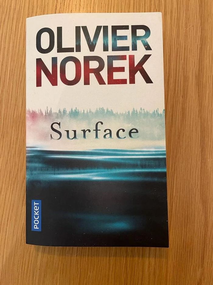 Olivier Norek - Surface