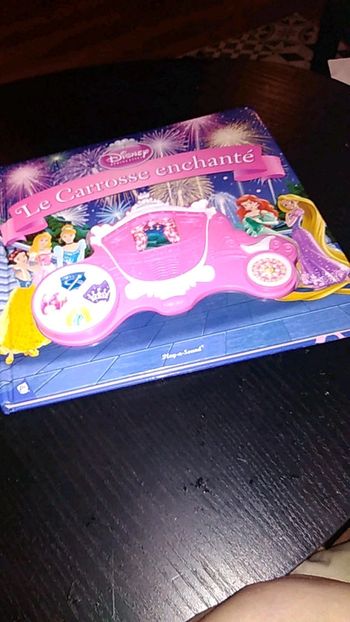 Livre le carrosse enchanté