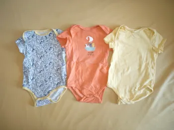 Lot de 3 bodies courtes manches 9 mois tape à l'oeil