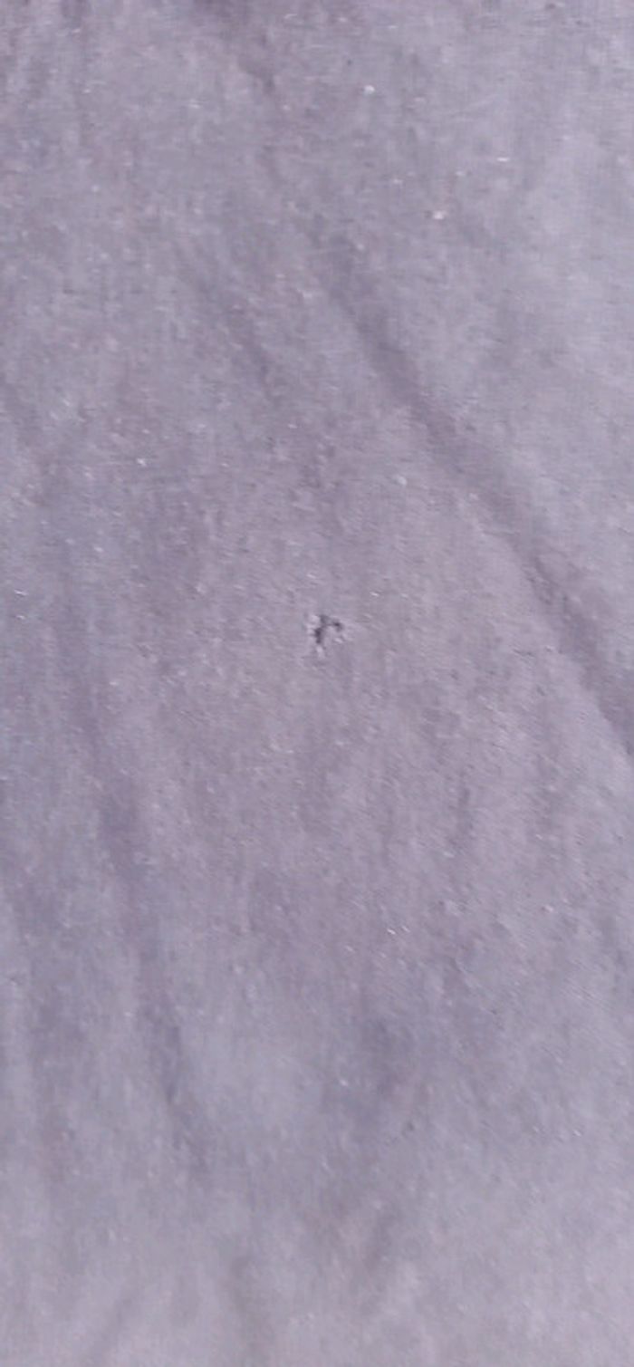 T-shirt T 5 ans - photo numéro 3