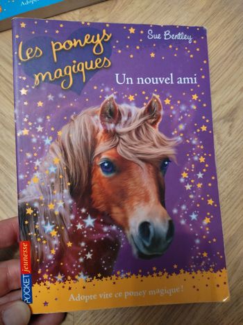 Un nouvel ami les poneys magiques tome 1