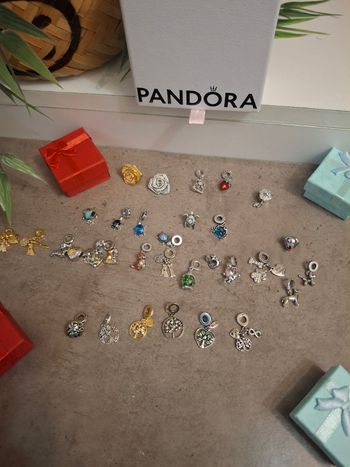 Diverses charms pour bracelet pandora