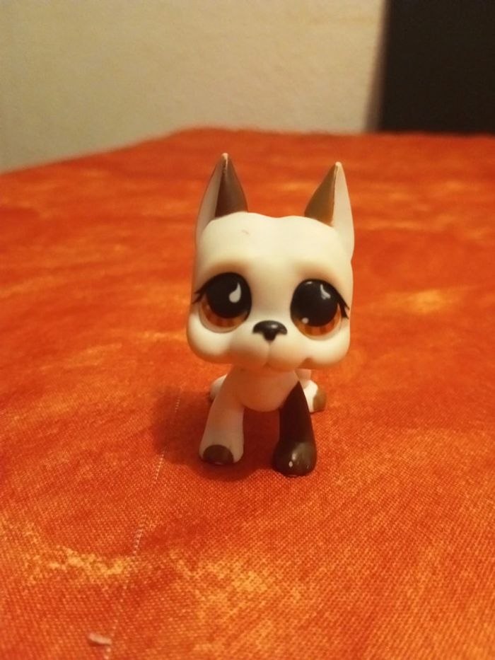 Lps pet shop n 750 chien danois