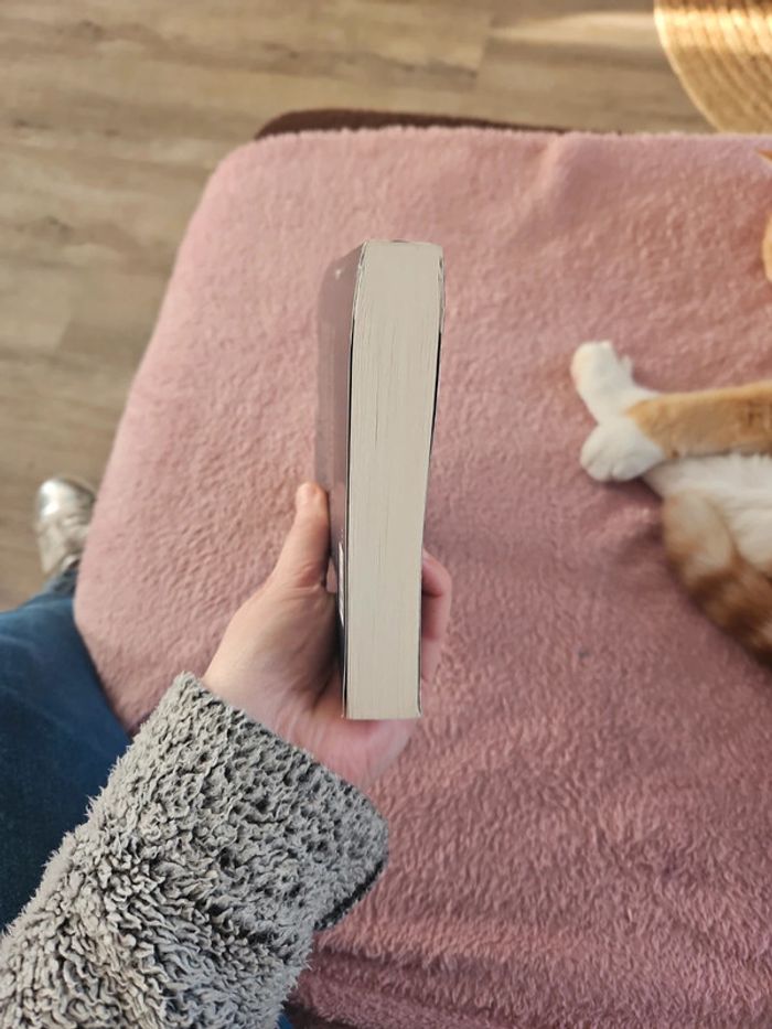 Livre - photo numéro 6