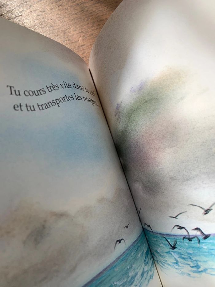 Le vent - photo numéro 8