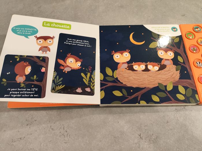 Livre musical bébé – Auzou Éveil – Animaux de la nuit - photo numéro 3