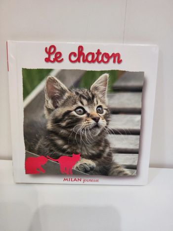 Livre Le chaton