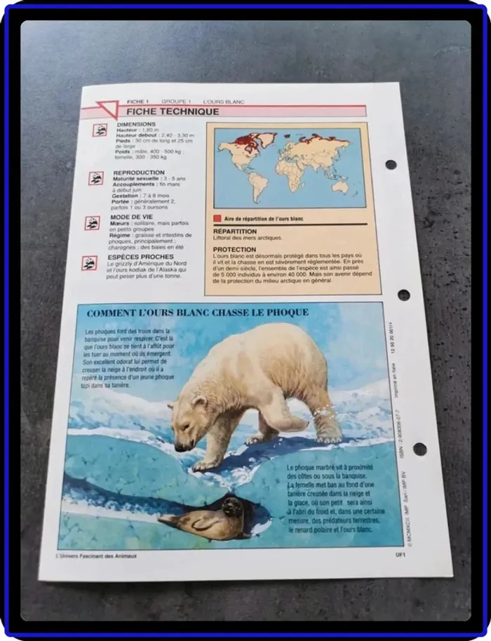 Fiches animaux - photo numéro 4