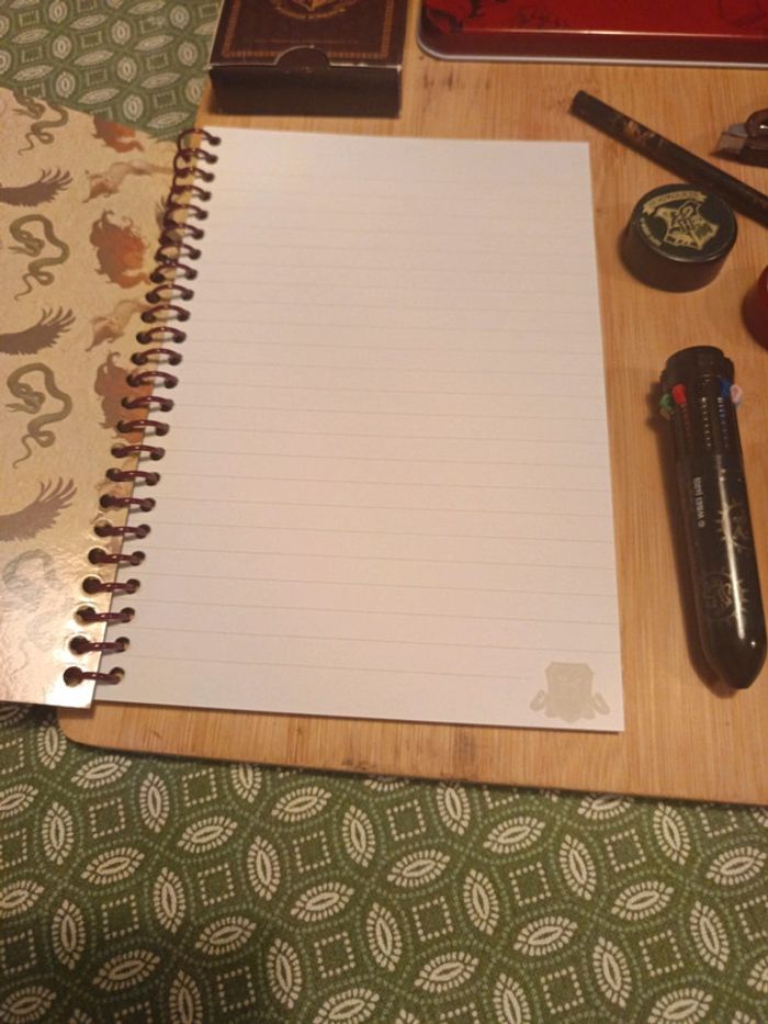 Lot de carnet Harry Potter - photo numéro 3