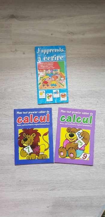 Lot de 3 cahiers d'apprentissage