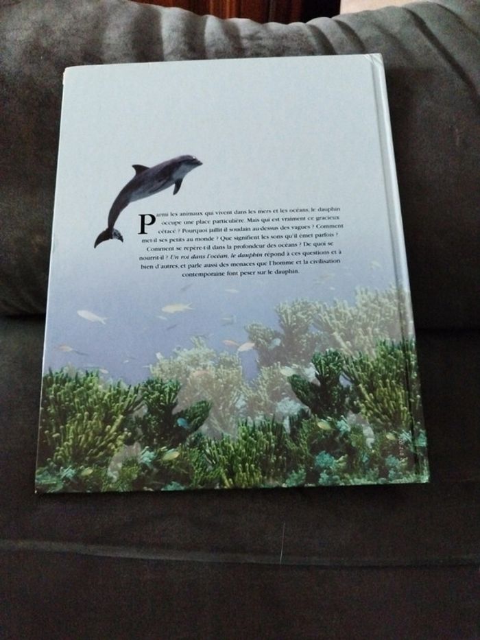 Un roi dans l'océan, le dauphin - photo numéro 2