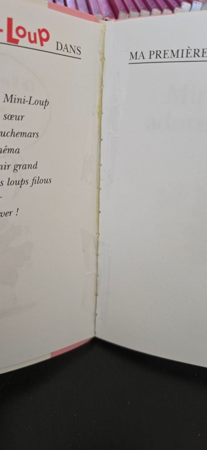 Lot de 19 livres mini loup - photo numéro 6