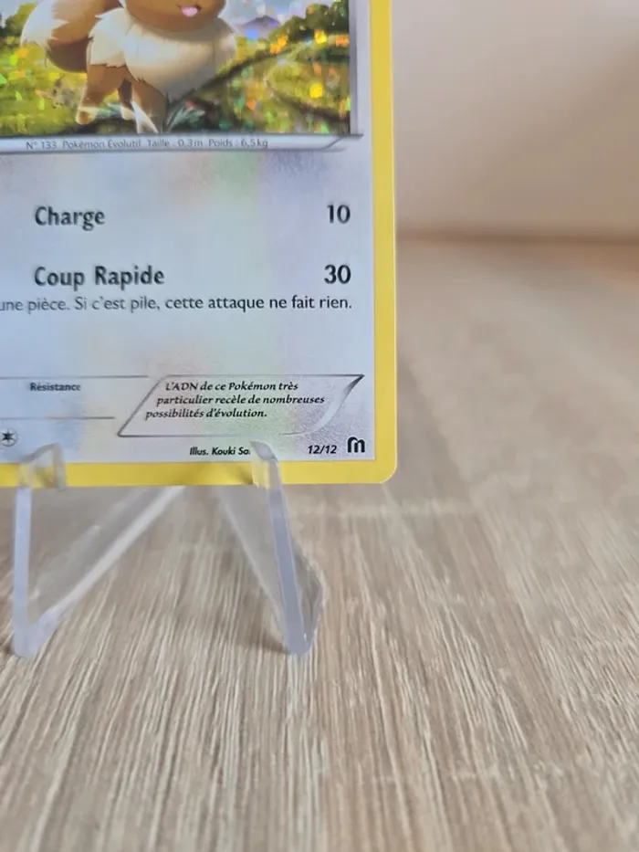 Evoli 12/12 - photo numéro 4