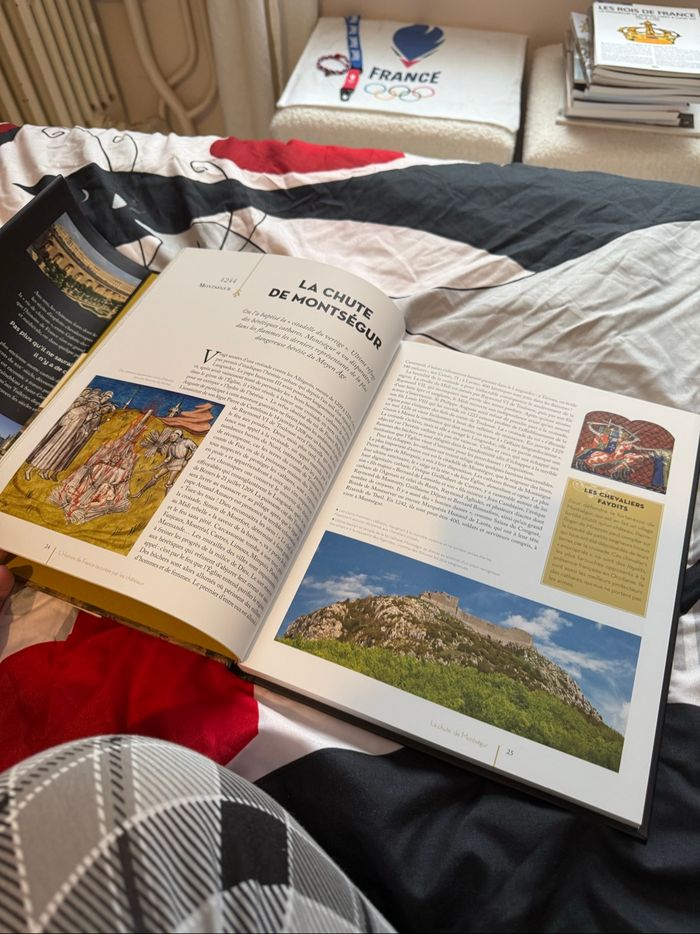 L’histoire de France racontée par les châteaux - Renaud Thomazo - photo numéro 10