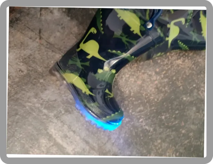 Botte de pluie - photo numéro 2