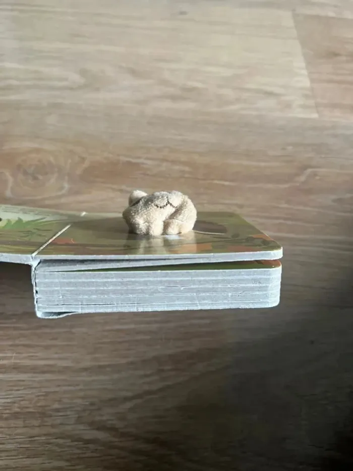 Livre bébé écureuil - mes livres marionnettes - photo numéro 5