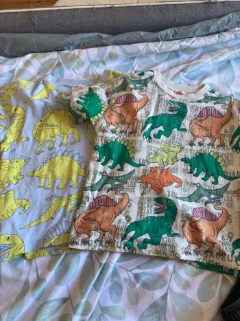Lot t-shirt dinosaure dpam 5ans