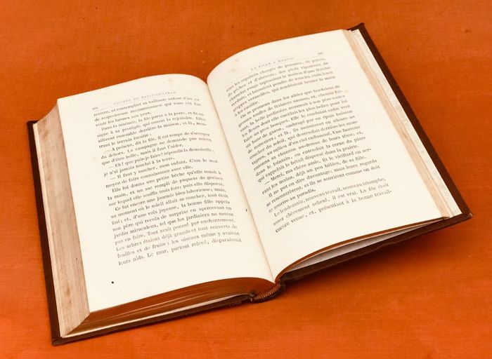 Fin XIXème Jean Macé Contes du Petit-Château Hetzel Libraire-Editeur Paris - photo numéro 5