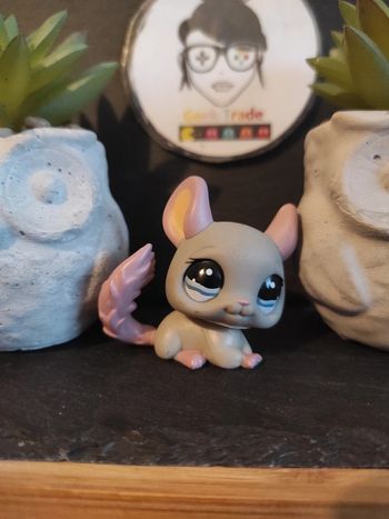 My Littlest Petshop LPS Pet Shop Chinchilla 1165 #geektradelpschinchilla