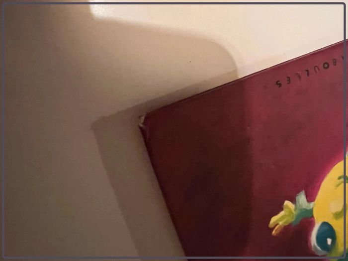 Livre Carole la luciole - photo numéro 6